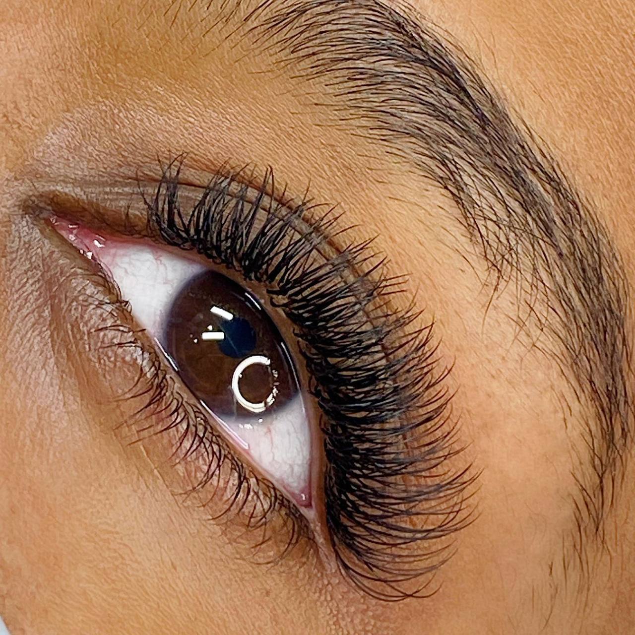 Cils